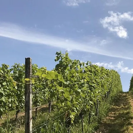 Vakantiehuis View Badenweiler