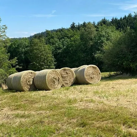 Vakantiehuis View