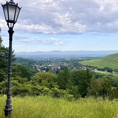 View *