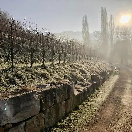 View Badenweiler